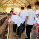 Dinas Peternakan Gorut Tegaskan Program G2-10 Plus Tetap Jadi Prioritas RPJMD