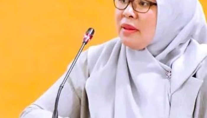 Dampak El Nino Mengancam Sektor Pertanian, Femmy Udoki Imbau Pemerintah Siapkan Subsidi Bagi Petani