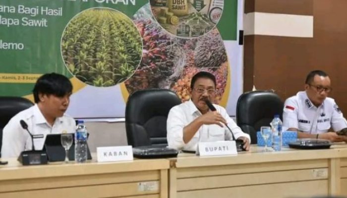 Pimpin Rapat Evaluasi DBH Sawit, Rum Pagau Desak Dinas Pertanian dan PUPR Tuntaskan Program