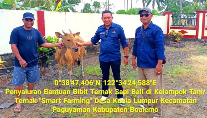 Dorong Kesejahteraan Peternakan, Pemkab Boalemo Salurkan 10 Ekor Bibit Sapi Bali di Desa Kuala Lumpur