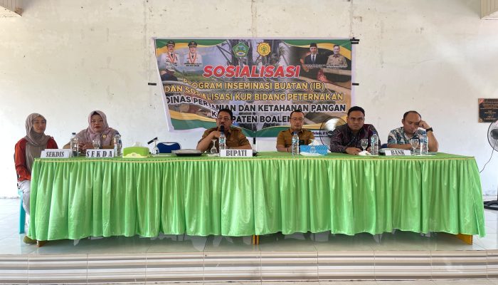 Tingkatkan Kualitas Genetik Sapi, Pemkab Boalemo Kirim 13 Inseminator ke BIB Lembang