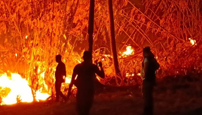 Karhutla di Kabupaten Gorontalo Berhasil Padam, Tim Gabungan Imbau Warga Tidak Perluas Lahan dengan Dibakar