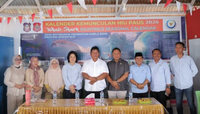 Kembangkan Wisata Bahari Bolsel, Wabup Deddy Studi Lapangan Kaji Pengelolaan Hiu Paus Botubarani